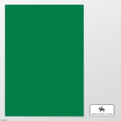 Ordonnans Color envelop 229 x 324 FSC KERSTGROEN