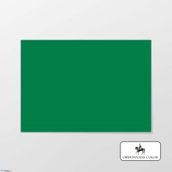 Ordonnans Color envelop 162 x 229 FSC KERSTGROEN kleinverpakking