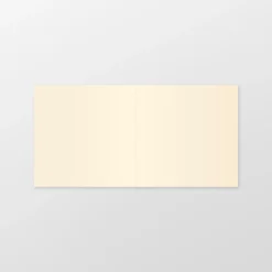 Kaart 1060 - Off-white 150 x 300 mm
